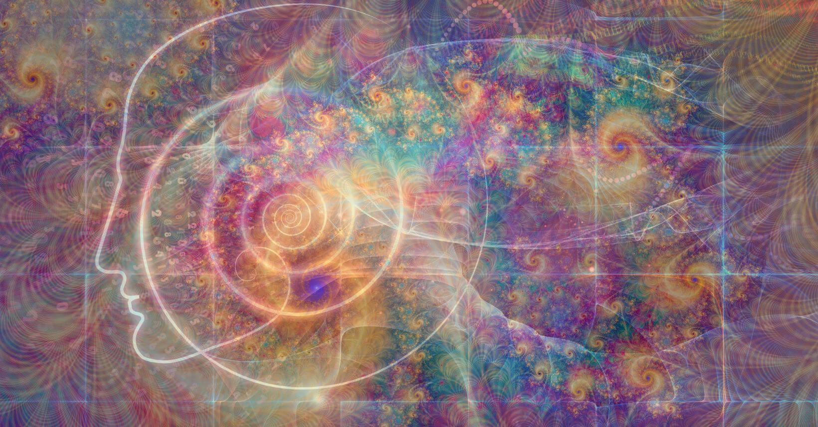 オープンコンタクトへの移行期間